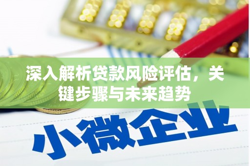 西昌深入解析贷款风险评估，关键步骤与未来趋势