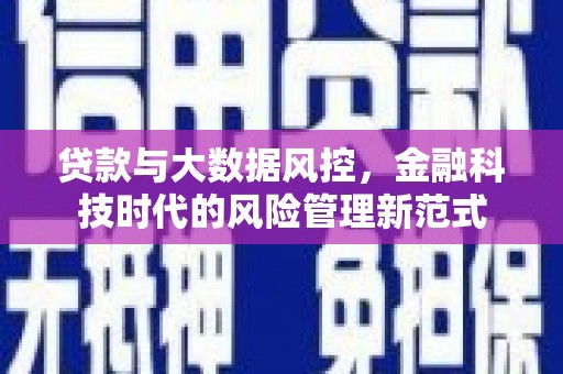 西昌贷款与大数据风控，金融科技时代的风险管理新范式