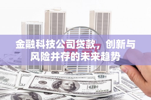 西昌金融科技公司贷款，创新与风险并存的未来趋势