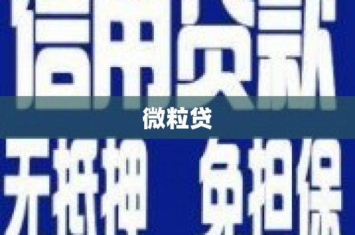 西昌微粒贷