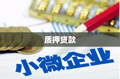 西昌质押贷款