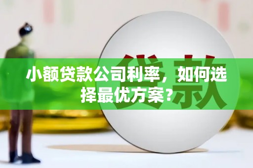 西昌小额贷款公司利率，如何选择最优方案？