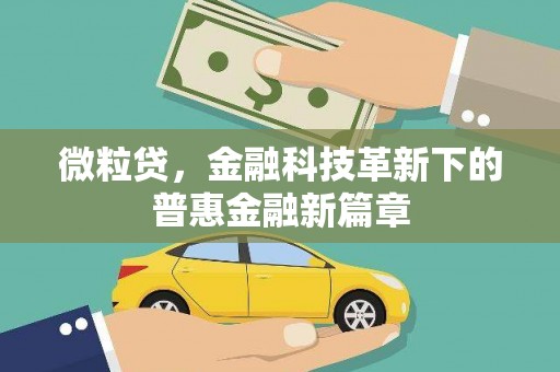 西昌微粒贷，金融科技革新下的普惠金融新篇章