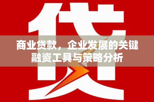 西昌商业贷款，企业发展的关键融资工具与策略分析