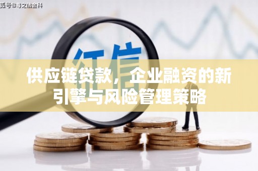 西昌供应链贷款，企业融资的新引擎与风险管理策略