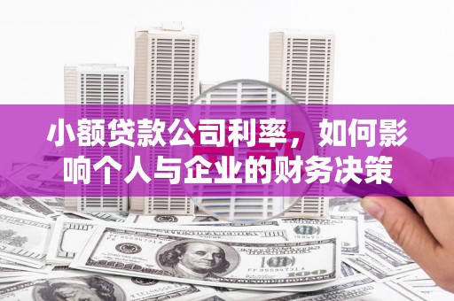 西昌小额贷款公司利率，如何影响个人与企业的财务决策