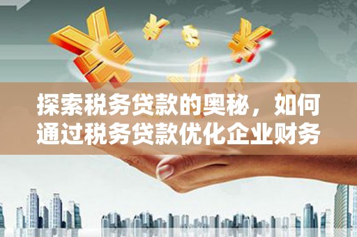西昌探索税务贷款的奥秘，如何通过税务贷款优化企业财务