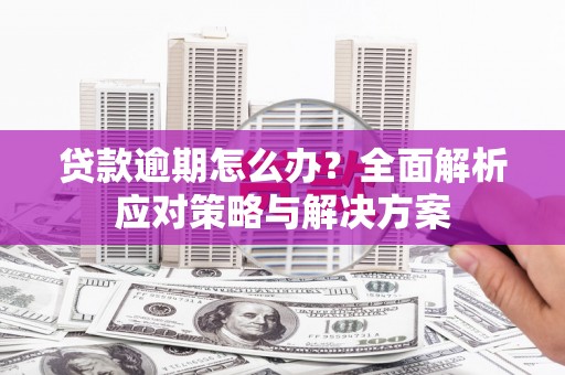 西昌贷款逾期怎么办？全面解析应对策略与解决方案