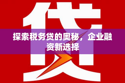 西昌探索税务贷的奥秘，企业融资新选择