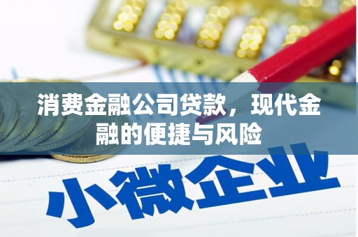 西昌消费金融公司贷款，现代金融的便捷与风险