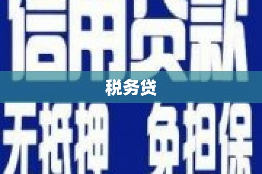 西昌税务贷