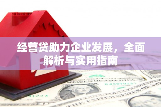 西昌经营贷助力企业发展，全面解析与实用指南