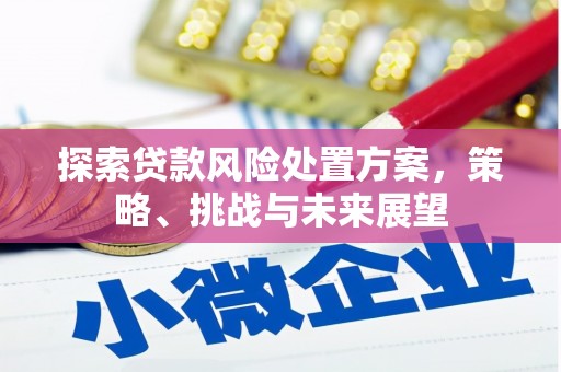 西昌探索贷款风险处置方案，策略、挑战与未来展望