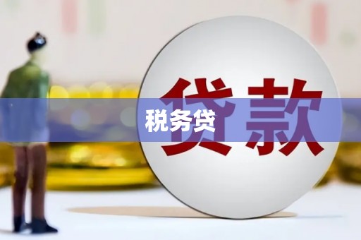 西昌税务贷