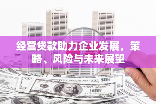 西昌经营贷款助力企业发展，策略、风险与未来展望