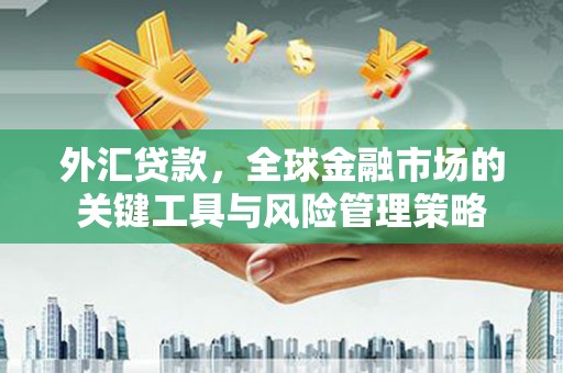 西昌外汇贷款，全球金融市场的关键工具与风险管理策略