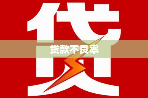 西昌贷款不良率