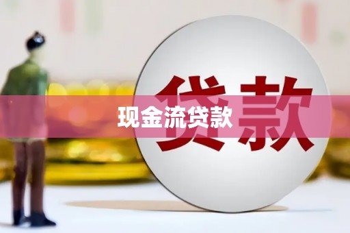 西昌现金流贷款