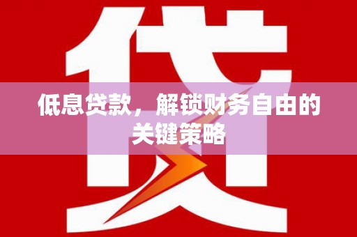 西昌低息贷款，解锁财务自由的关键策略