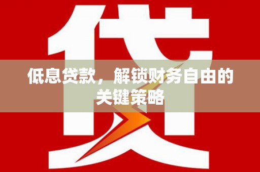 西昌低息贷款，解锁财务自由的关键策略