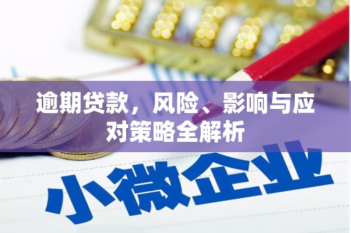 西昌逾期贷款，风险、影响与应对策略全解析