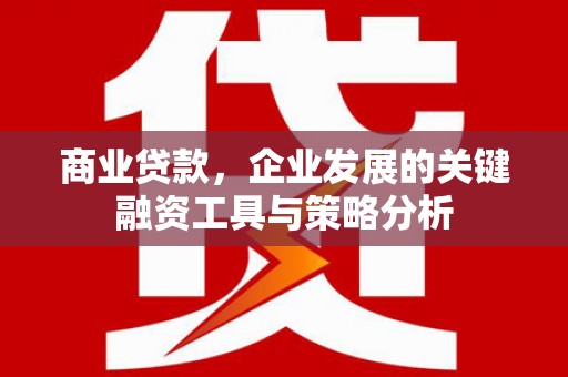 西昌商业贷款，企业发展的关键融资工具与策略分析