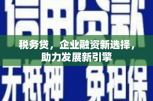 西昌税务贷，企业融资新选择，助力发展新引擎