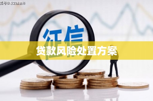 西昌贷款风险处置方案