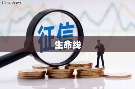 西昌生命线