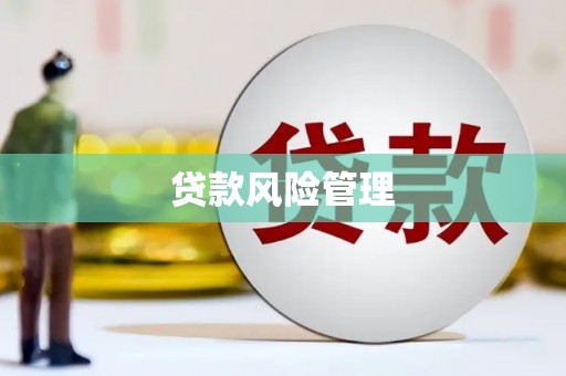 西昌贷款风险管理