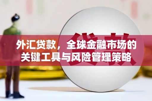 西昌外汇贷款，全球金融市场的关键工具与风险管理策略