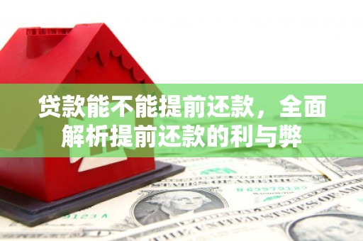西昌贷款能不能提前还款，全面解析提前还款的利与弊