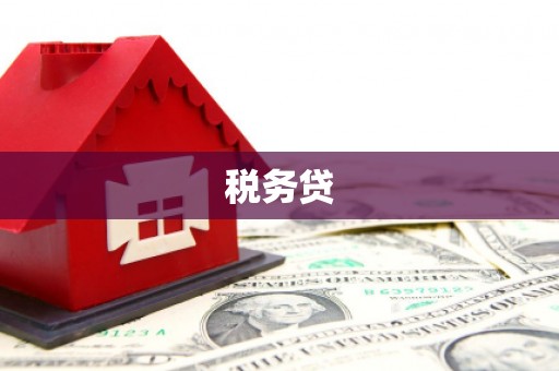 西昌税务贷