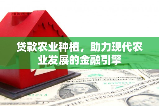 西昌贷款农业种植，助力现代农业发展的金融引擎