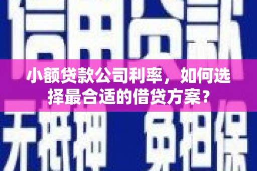 西昌小额贷款公司利率，如何选择最合适的借贷方案？