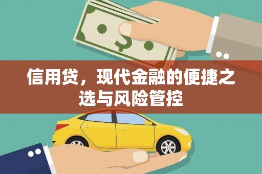 西昌信用贷，现代金融的便捷之选与风险管控