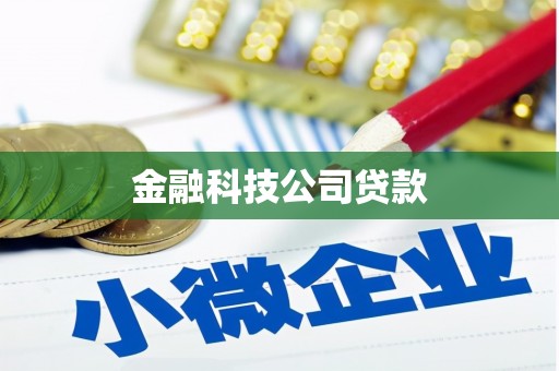 西昌金融科技公司贷款
