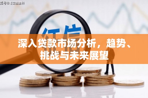 西昌深入贷款市场分析，趋势、挑战与未来展望