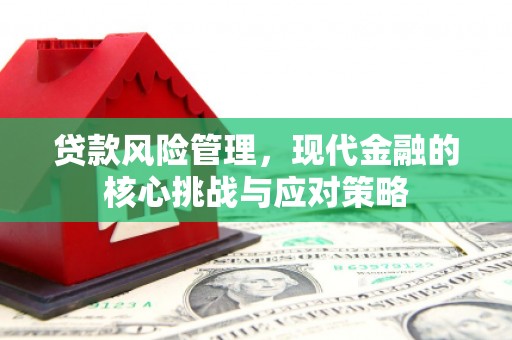 西昌贷款风险管理，现代金融的核心挑战与应对策略