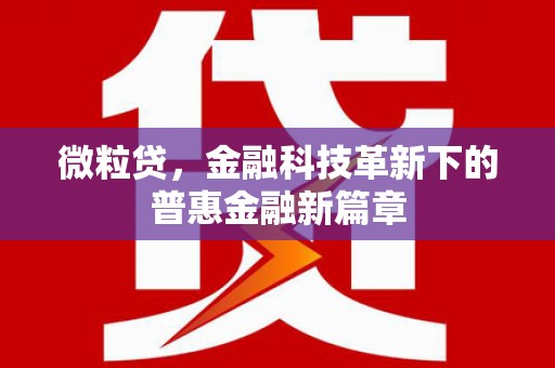西昌微粒贷，金融科技革新下的普惠金融新篇章