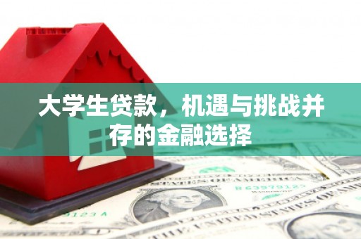 西昌大学生贷款，机遇与挑战并存的金融选择