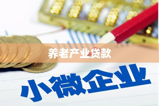 西昌养老产业贷款