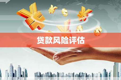 西昌贷款风险评估