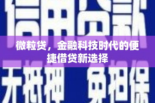 西昌微粒贷，金融科技时代的便捷借贷新选择