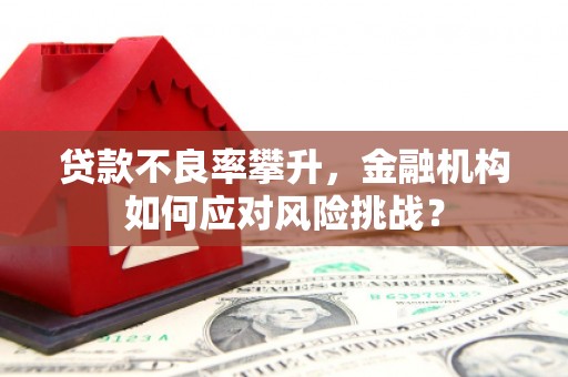 西昌贷款不良率攀升，金融机构如何应对风险挑战？