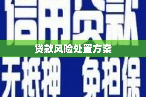 西昌贷款风险处置方案
