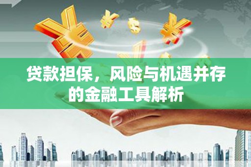 西昌贷款担保，风险与机遇并存的金融工具解析