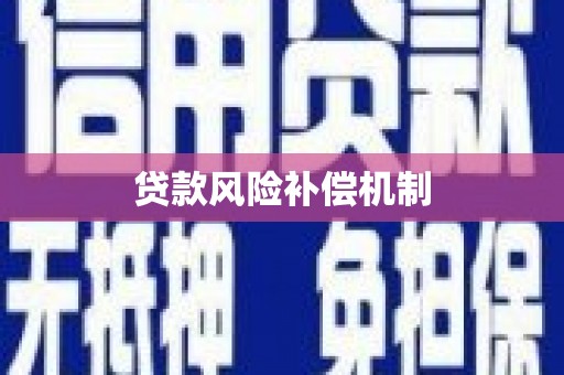 西昌贷款风险补偿机制