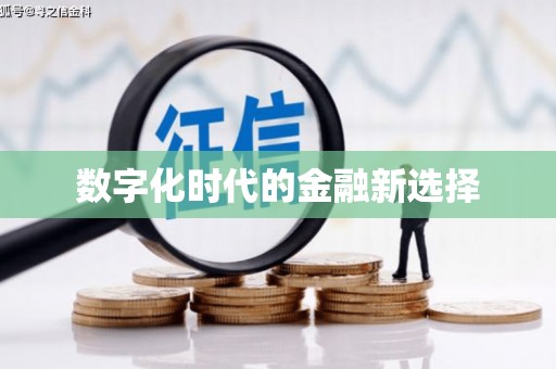 西昌数字化时代的金融新选择