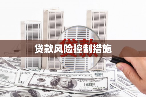 西昌贷款风险控制措施